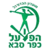 法萨巴夏普尔